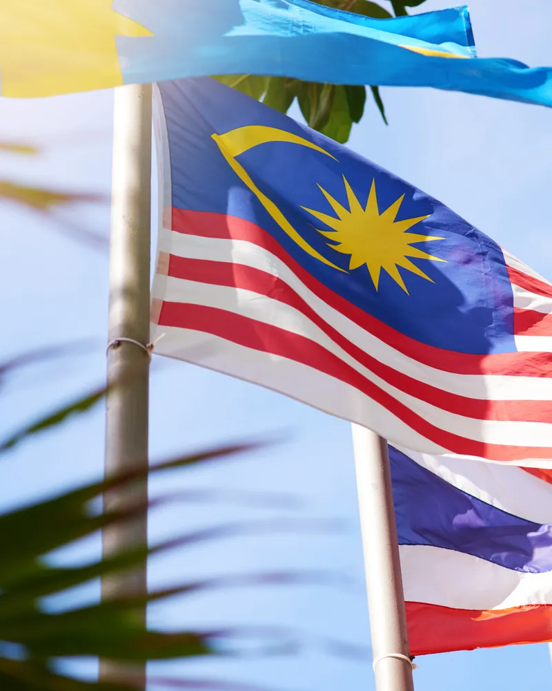 Total Secure Force company story